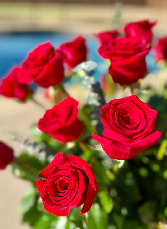 2 DOZEN LUX ROSE ARRANGEMENT