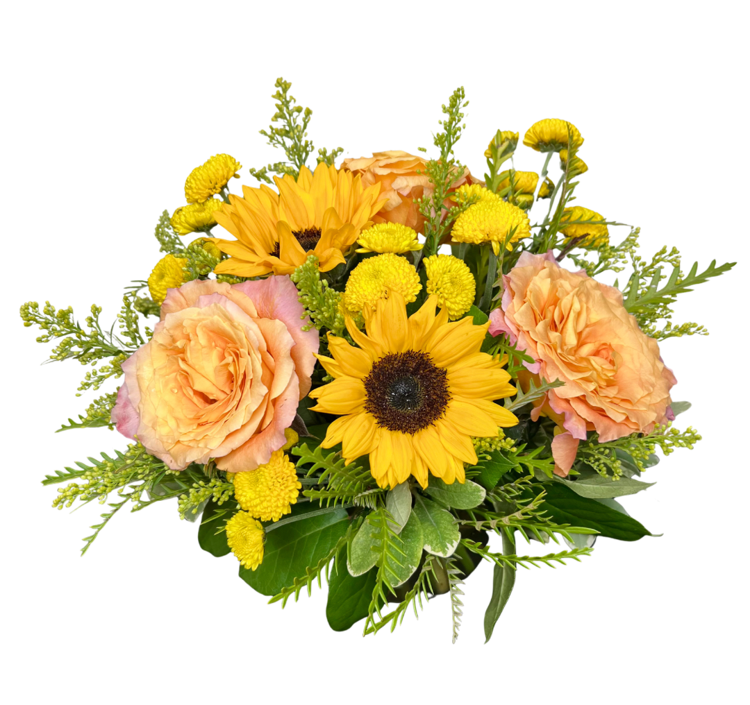 CITRUS BURST