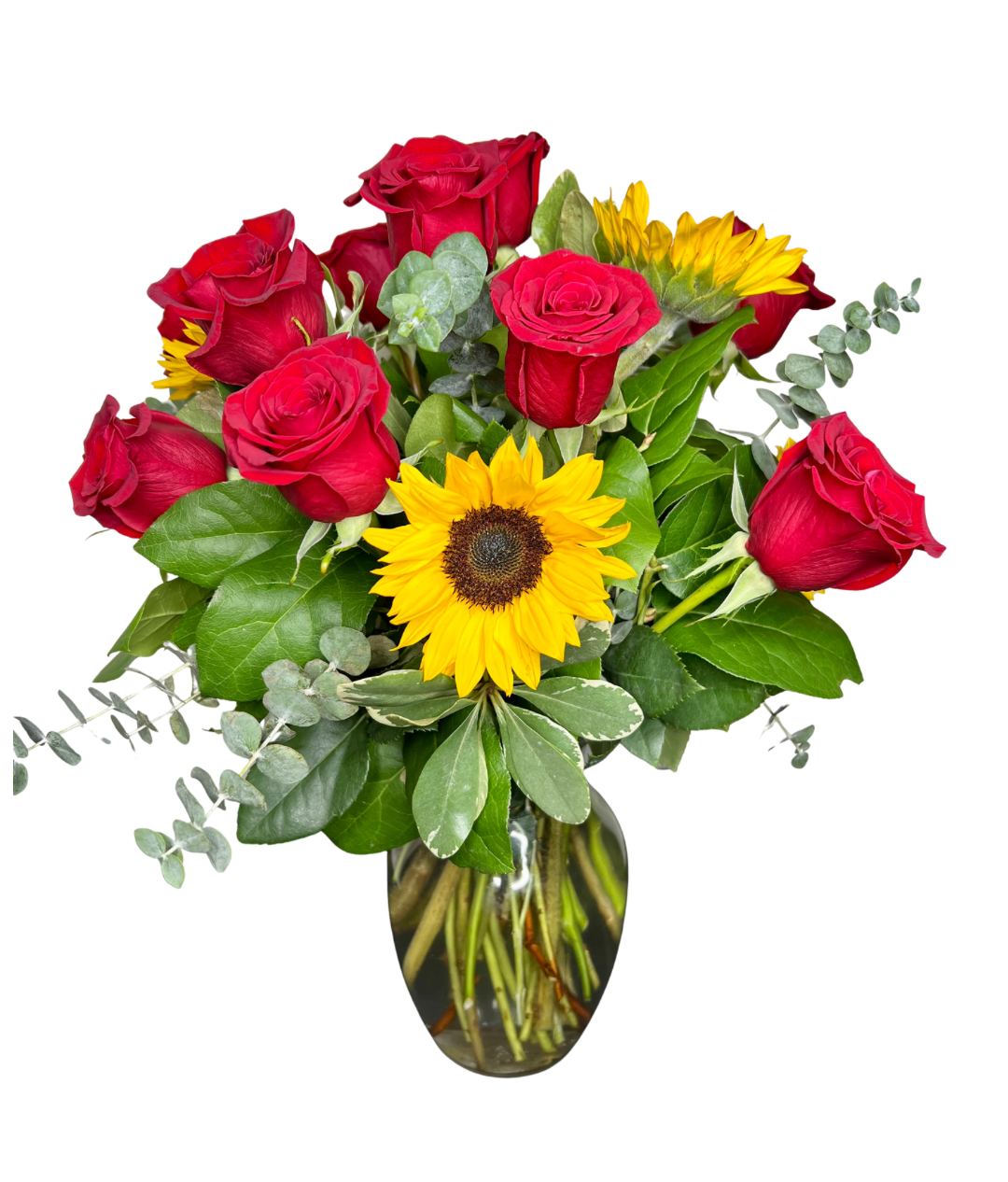 SUNNY RED ROSE DOZEN